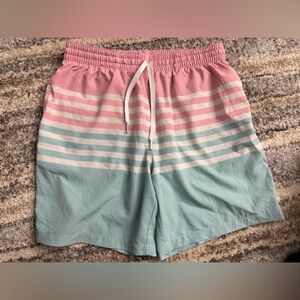 chubbies Pink & Mint Striped Swim Board Shorts